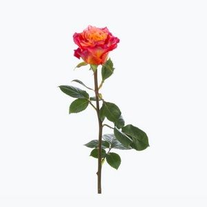 Meet your Posher, La rosa